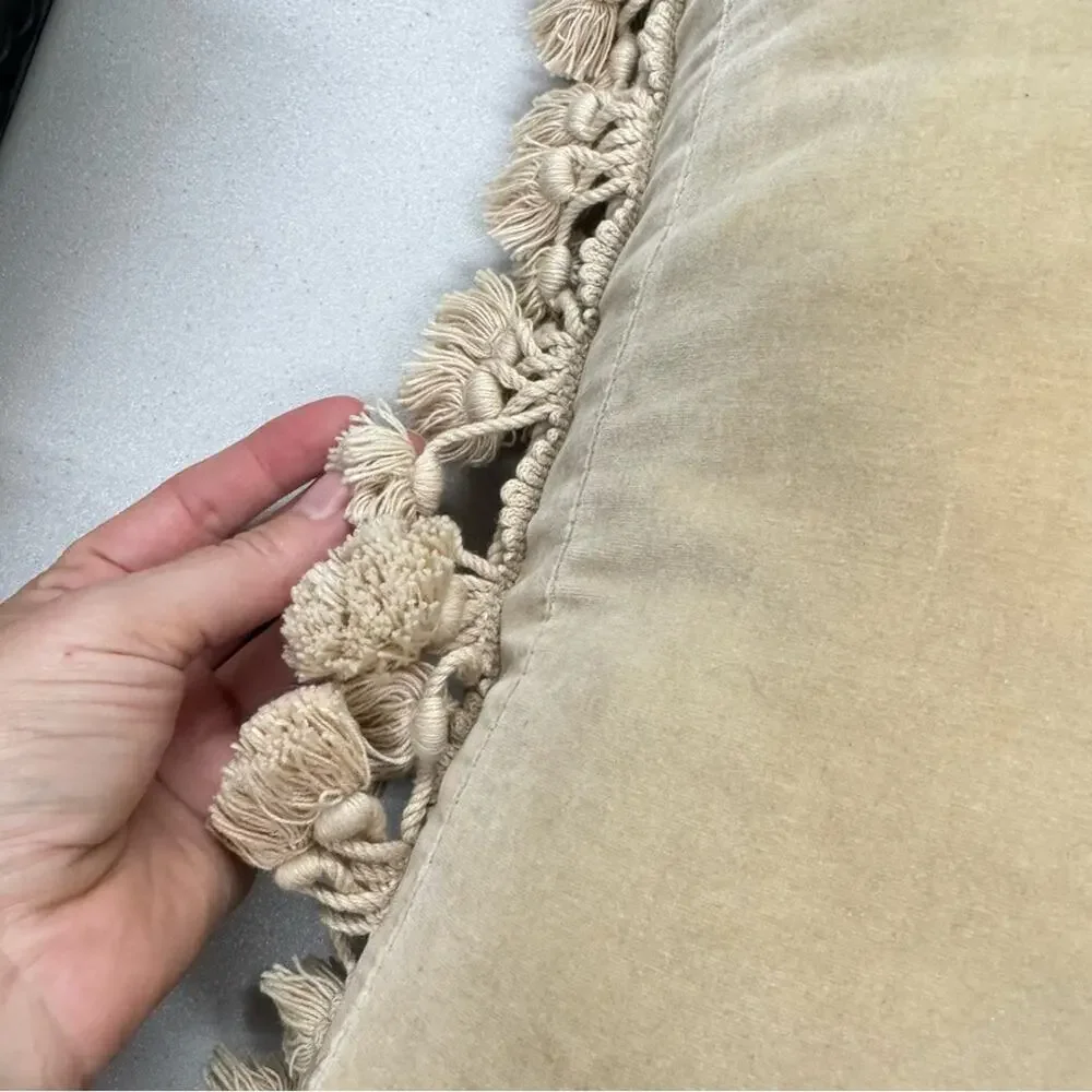 Large Rose Embroidered Tapestry Accent Pillow Tan Pink Tassels Boho Grandma Core